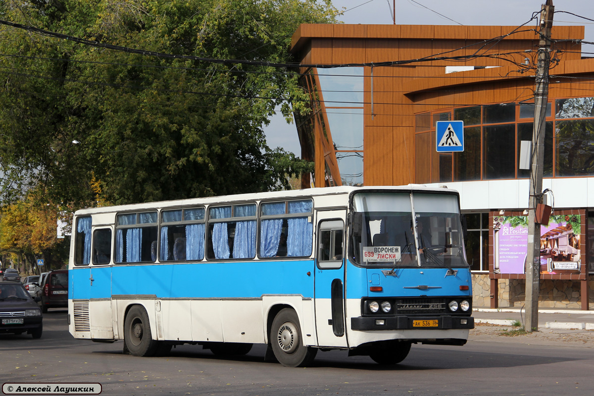 Воронежская область, Ikarus 256.51 № АК 536 36 — Фото — Автобусный транспорт