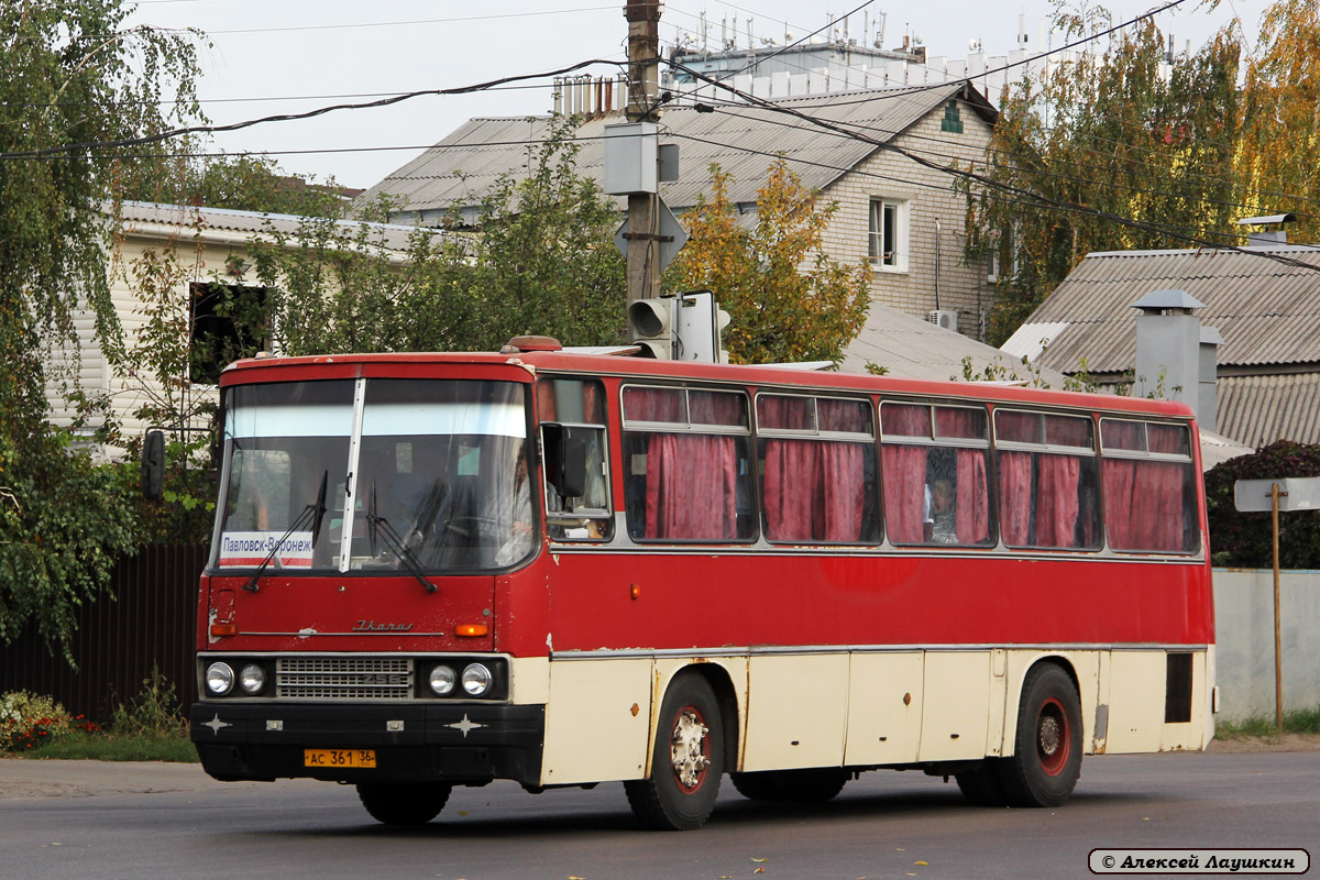 Воронежская область, Ikarus 256.54 № АС 361 36 — Фото — Автобусный транспорт