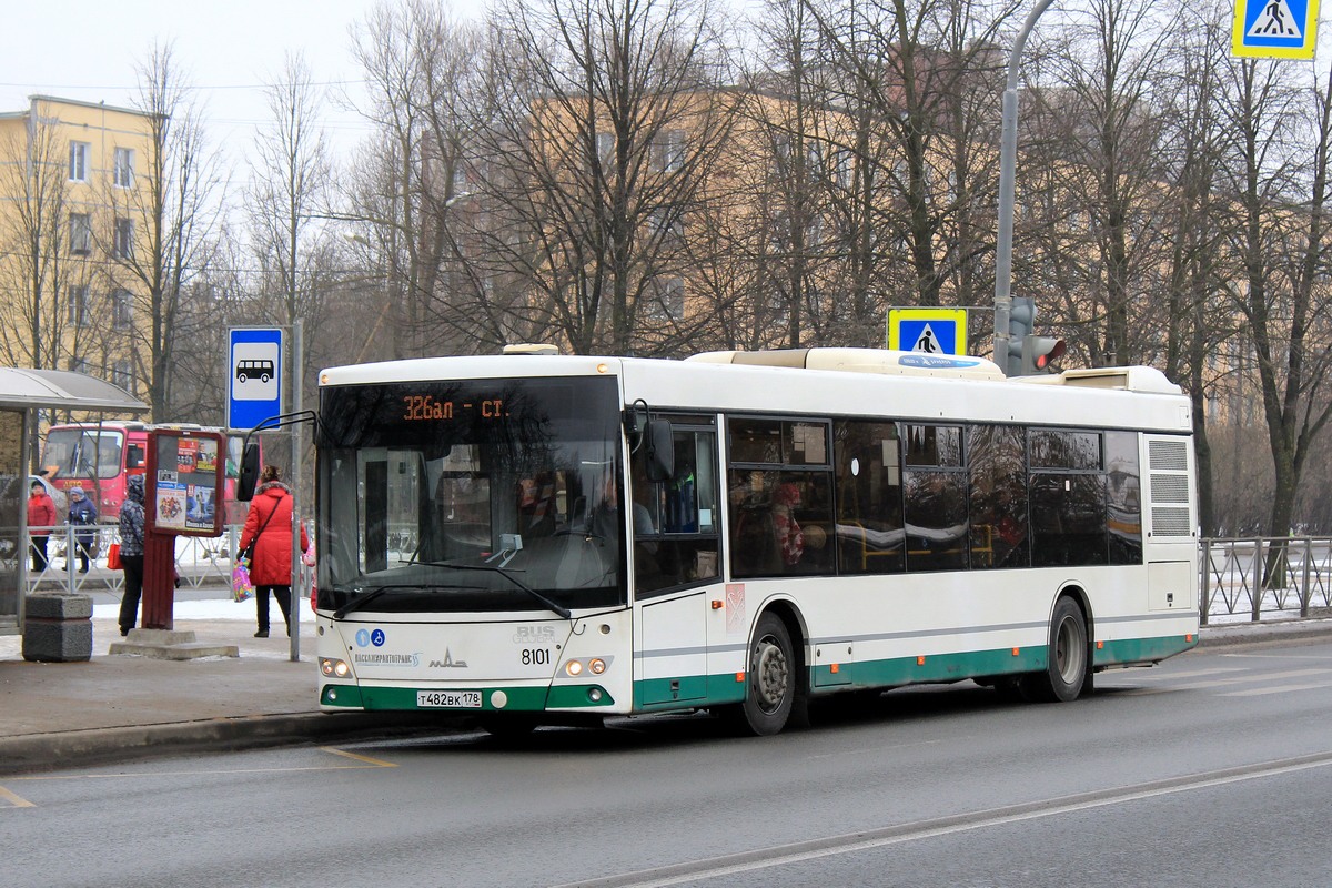 Санкт-Петербург, МАЗ-203.085 № 8101