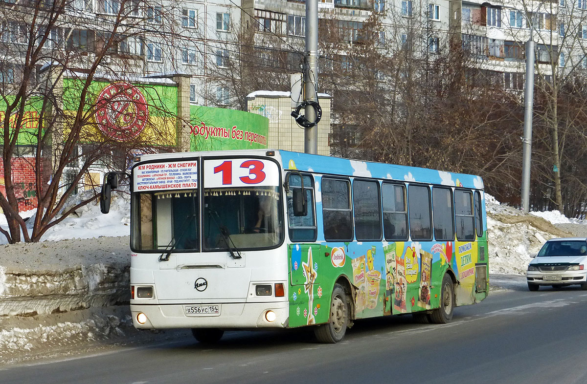 Новосибирская область, ЛиАЗ-5256.45 № Х 556 УС 154