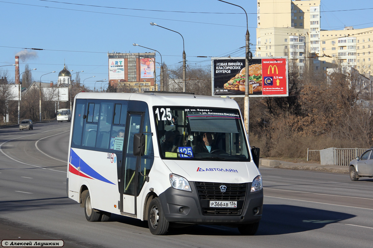 Воронежская область, ГАЗ-A64R42 Next № Р 366 АВ 136