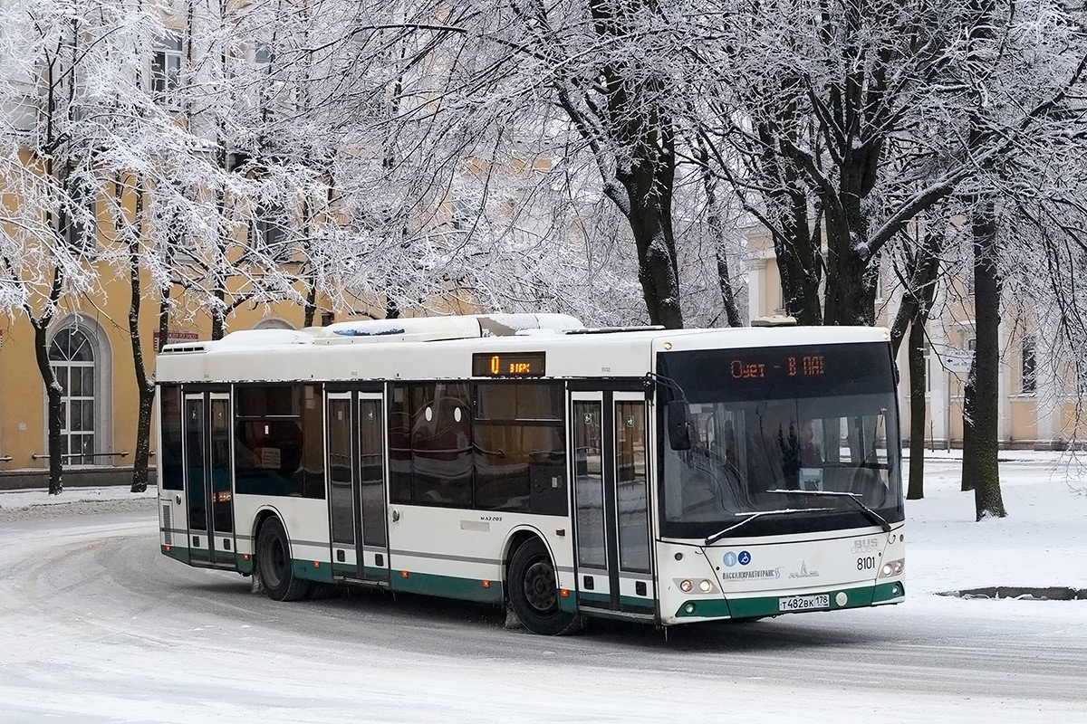 Санкт-Петербург, МАЗ-203.085 № 8101