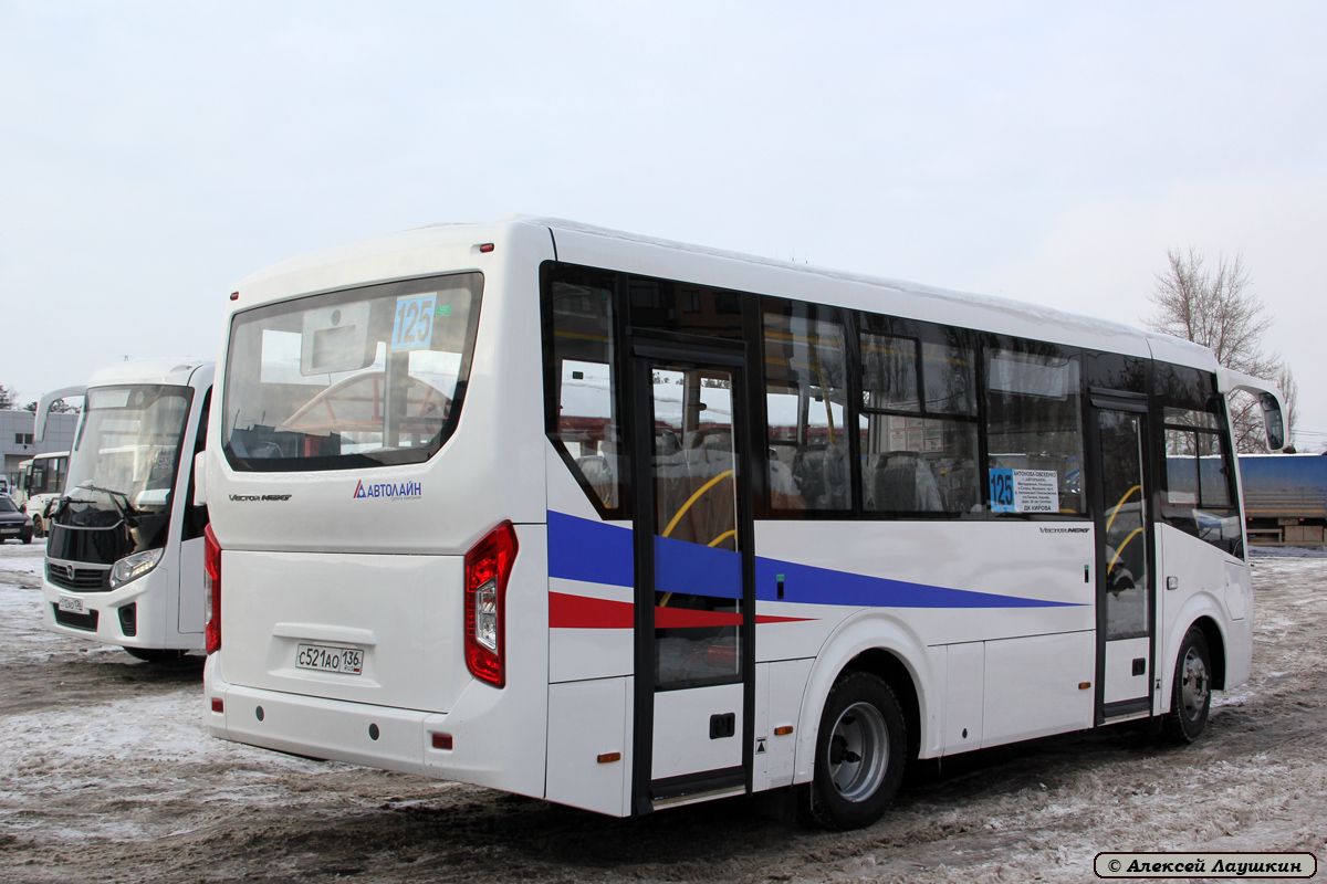 Воронежская область, ПАЗ-320405-04 "Vector Next" № С 521 АО 136