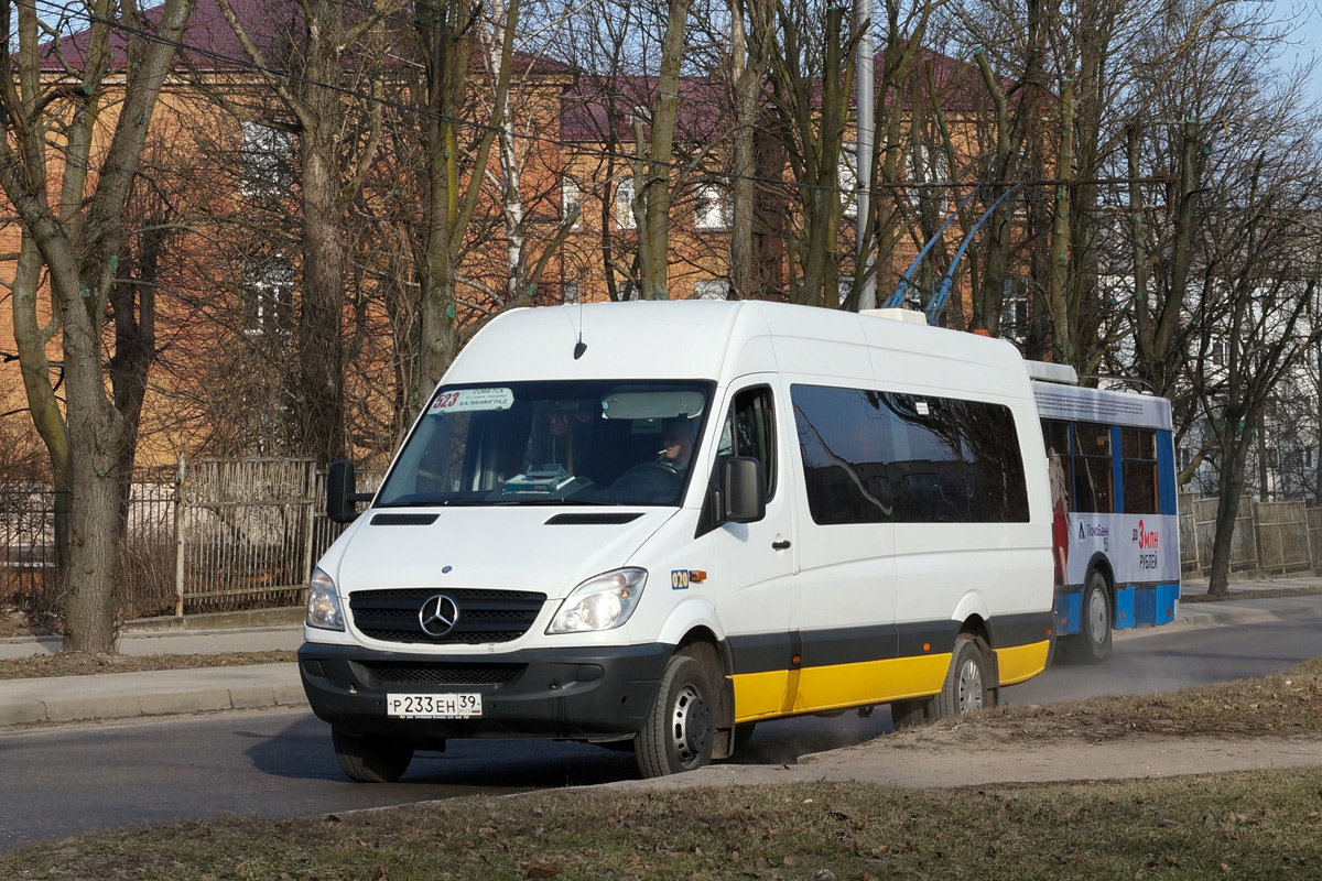 Kaliningrad region, Mercedes-Benz Sprinter W906 515CDI # 020