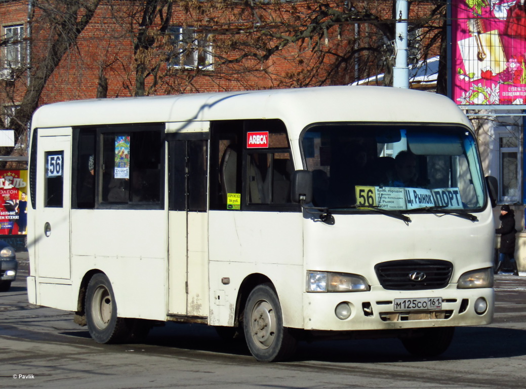 Ростовская область, Hyundai County SWB C08 (РЗГА) № 31