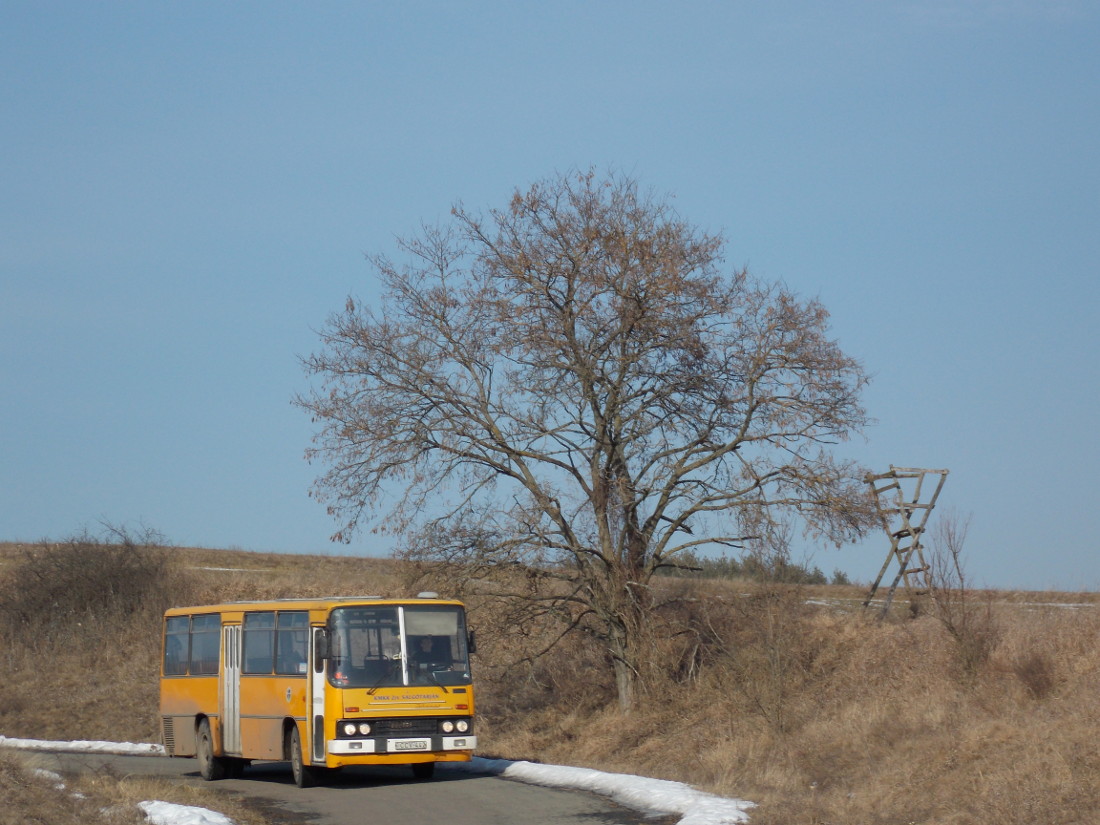 Венгрия, Ikarus 266.25 № CCV-442; Венгрия — Фототуры