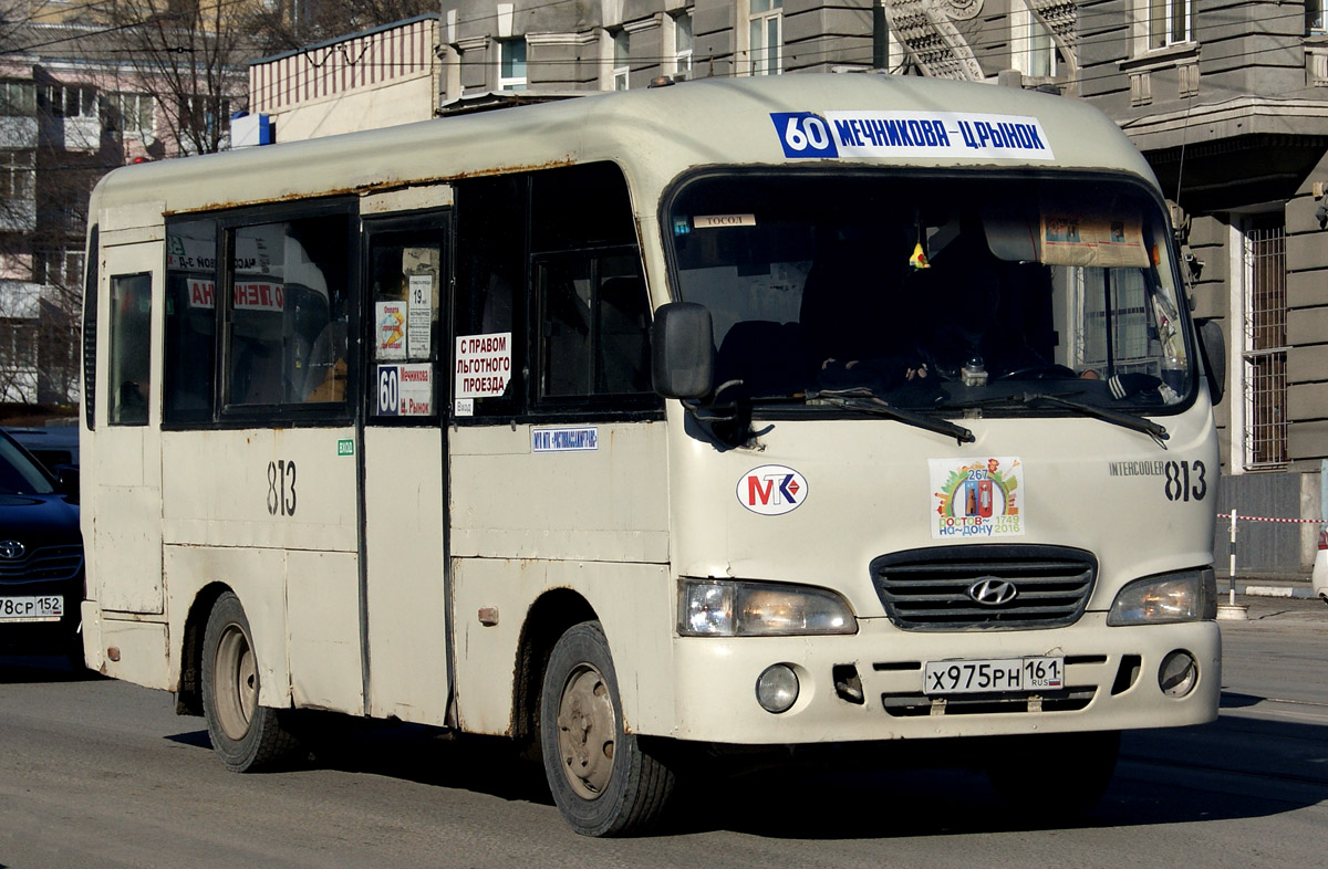 Ростовская область, Hyundai County SWB C08 (РЗГА) № 813