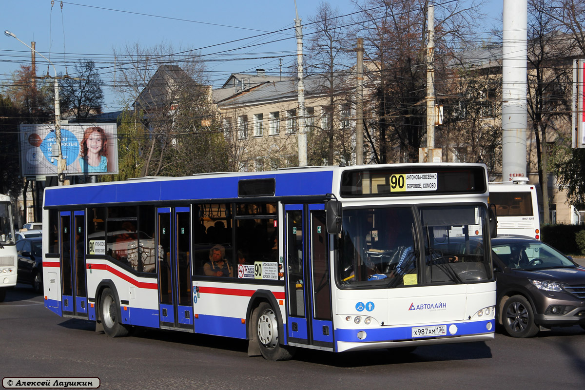 Воронежская область, МАЗ-103.485 № Х 987 АМ 136