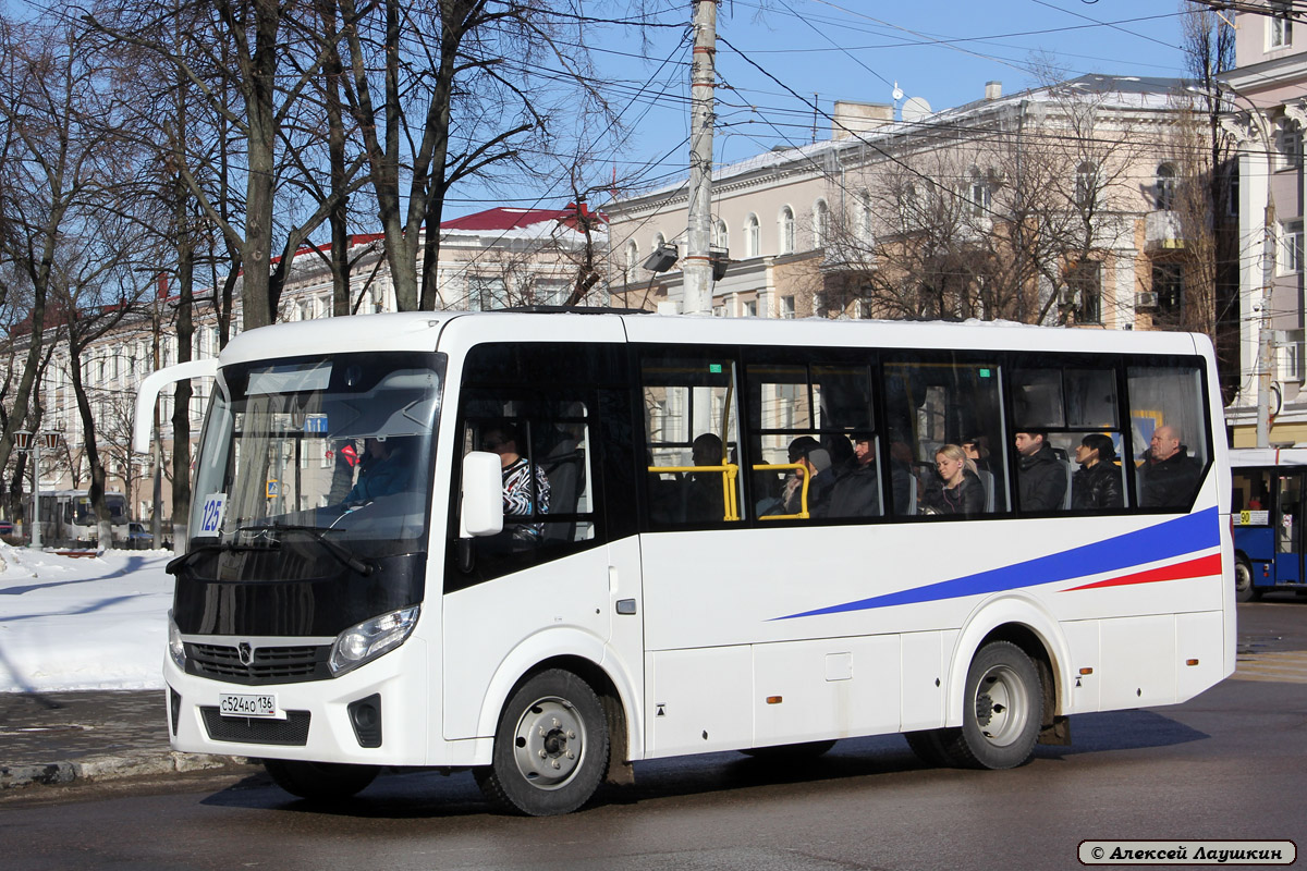 Воронежская область, ПАЗ-320405-04 "Vector Next" № С 524 АО 136