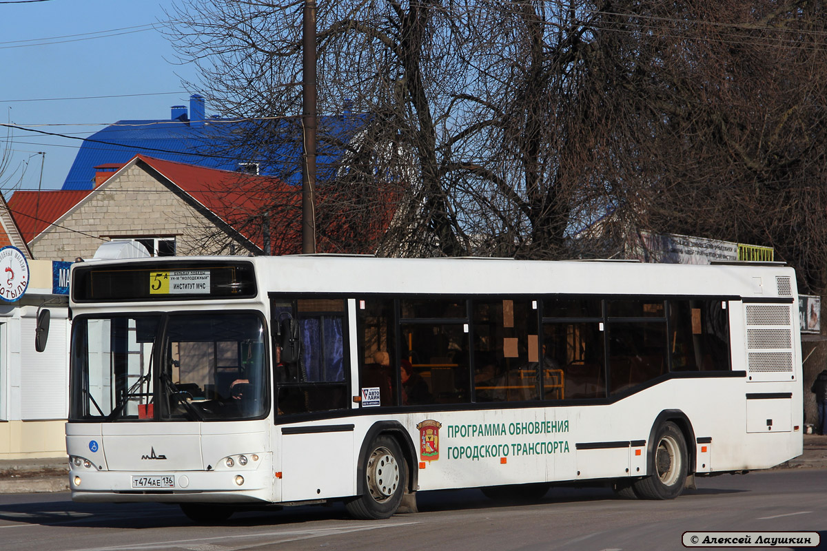 Воронежская область, МАЗ-103.465 № Т 474 АЕ 136