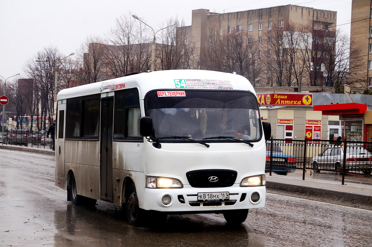 Ростовская область, Hyundai County LWB (ТагАЗ) № 007313