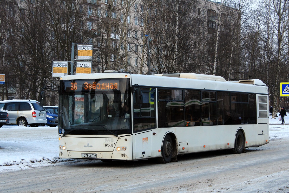 Санкт-Петербург, МАЗ-203.085 № 8134