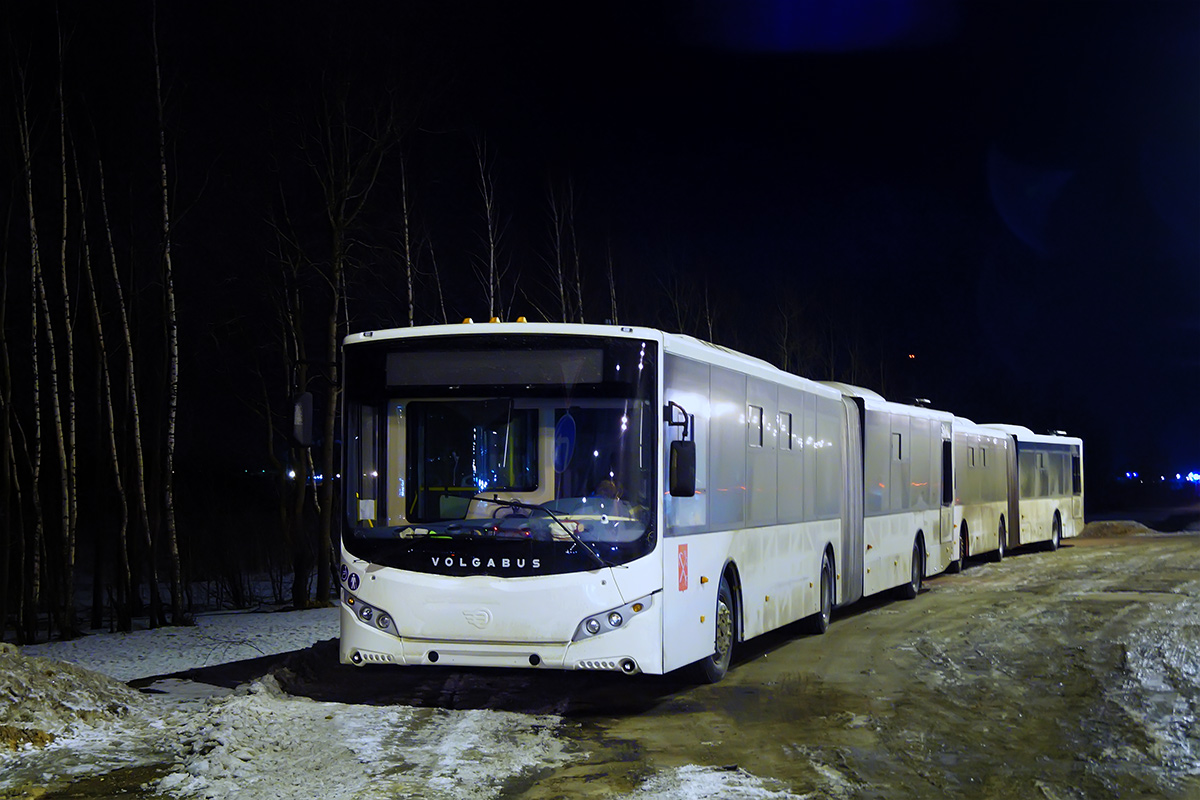 Санкт-Петербург — Новые автобусы; Волгоградская область — Новые автобусы  