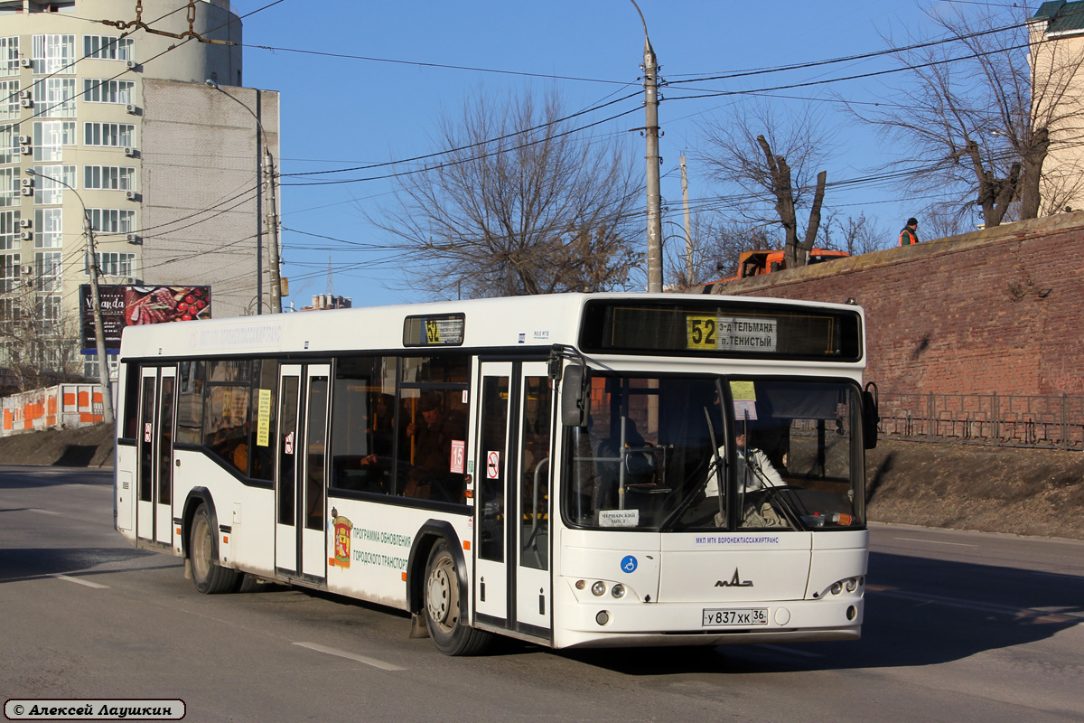 Воронежская область, МАЗ-103.469 № У 837 ХК 36