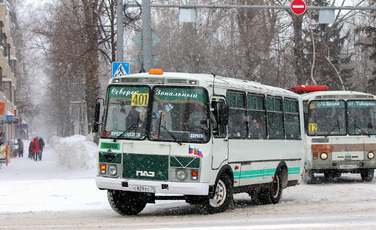 Томская область, ПАЗ-3205-110 № С 829 ЕС 70