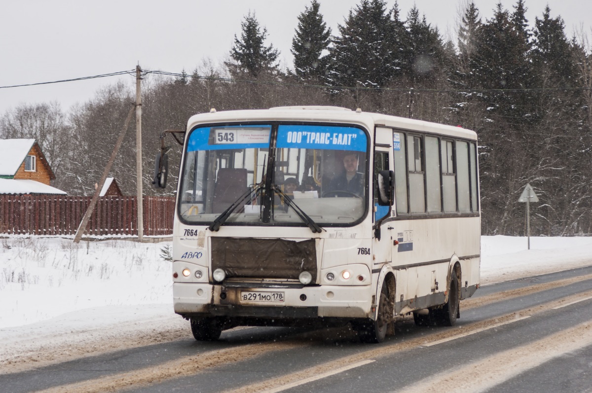 Ленинградская область, ПАЗ-320412-05 № 7664