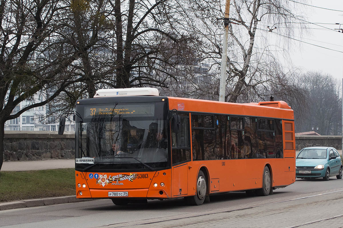 Kaliningrad region, MAZ-203.085 # 53013 — Φωτογραφία — Μεταφορά με λεωφορείο