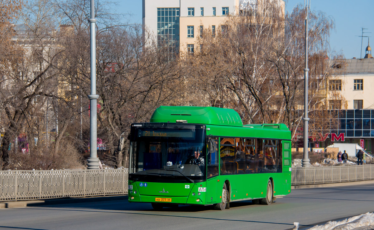 Свердловская область, МАЗ-203.L65 № 1702