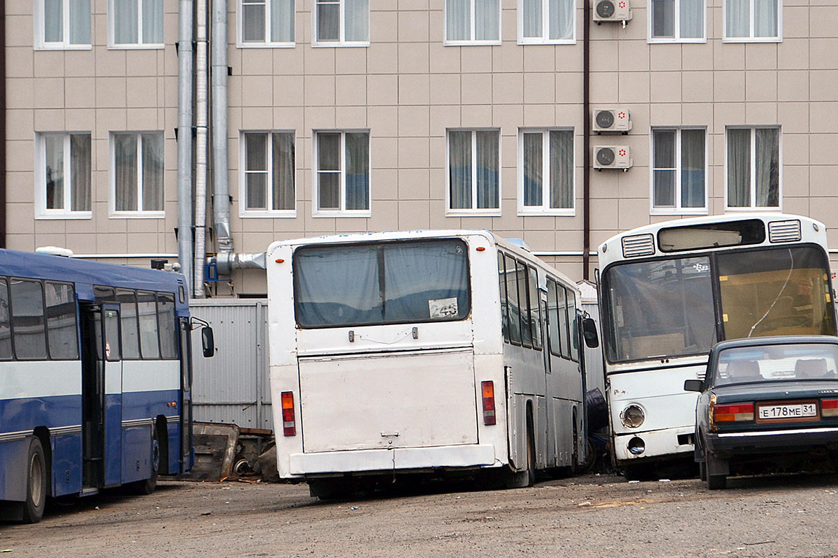 Белгородская область — Автобусы без номеров