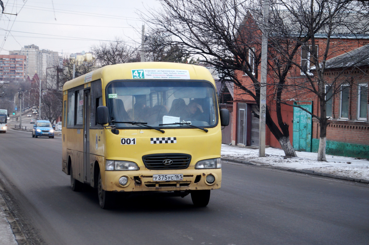 Ростовская область, Hyundai County LWB C11 (ТагАЗ) № 001