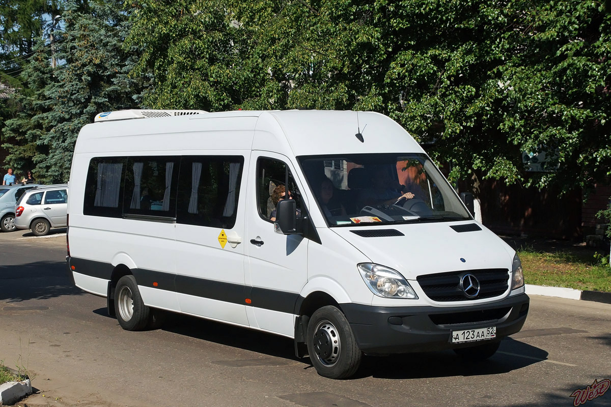 Нижегородская область, Mercedes-Benz Sprinter W906 № А 123 АА 52