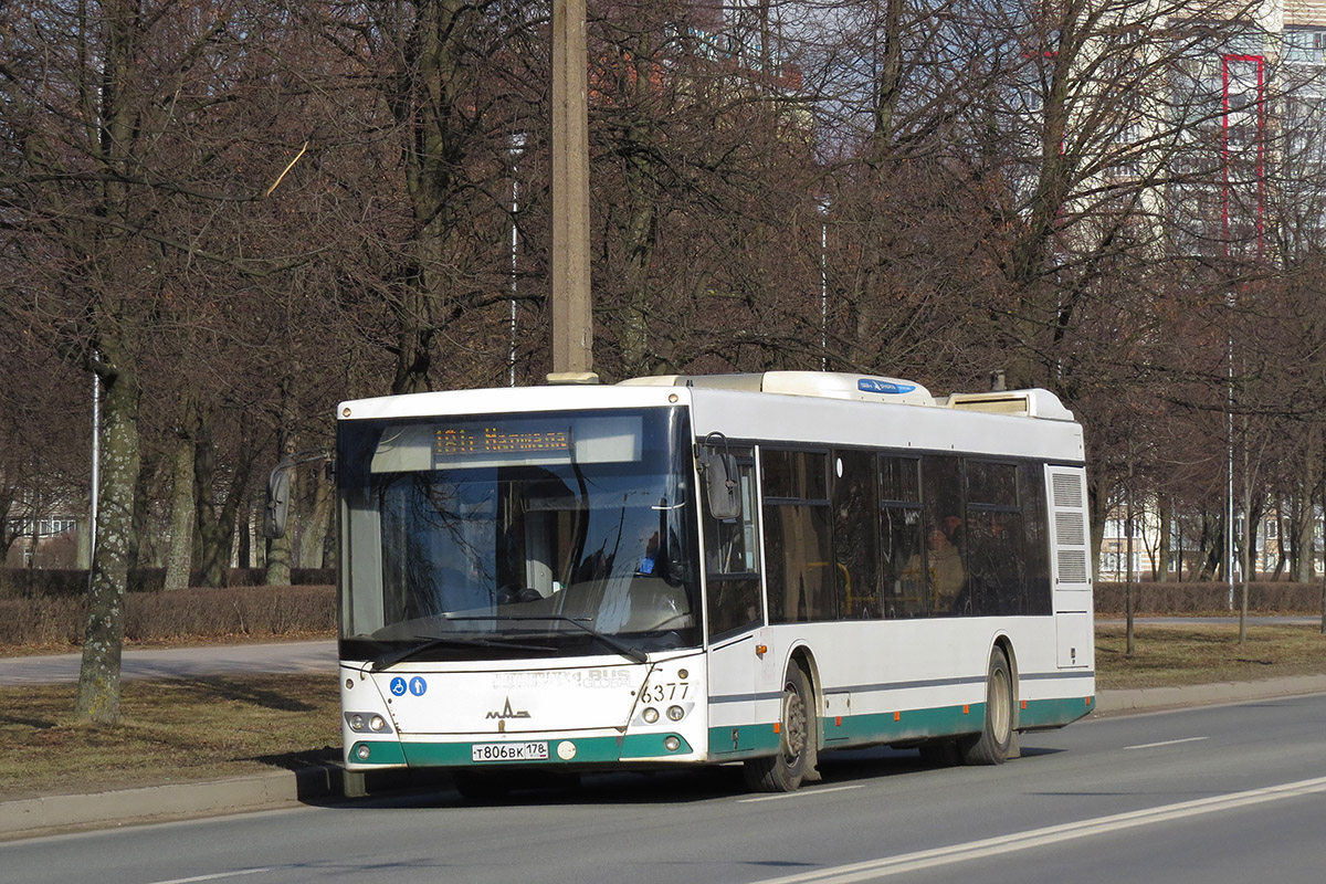 Санкт-Петербург, МАЗ-203.085 № 6377