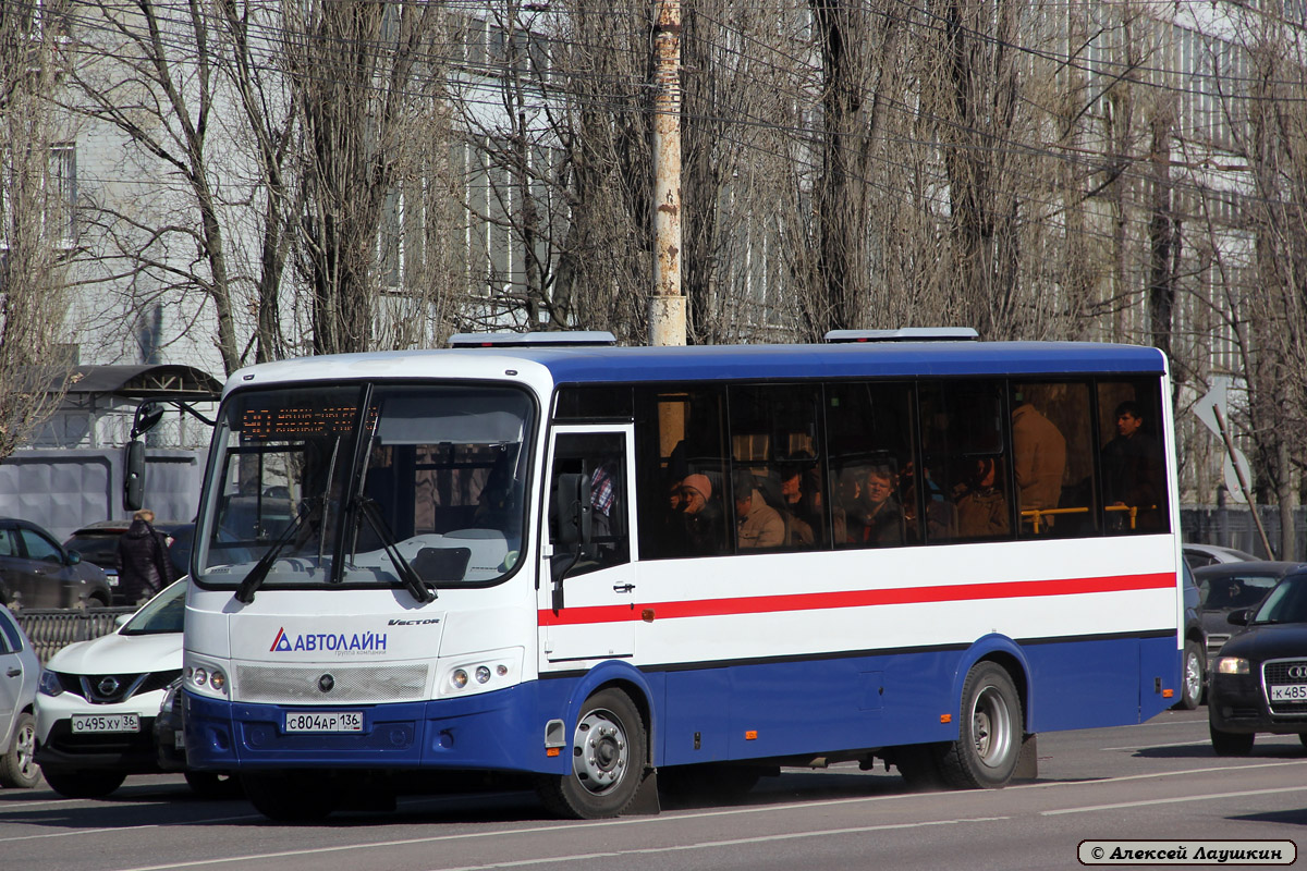 Воронежская область, ПАЗ-320414-04 "Вектор" (1-2) № С 804 АР 136