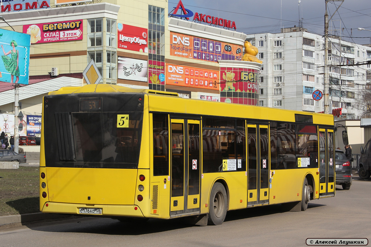 Воронежская область, МАЗ-203.067 № С 176 АО 136