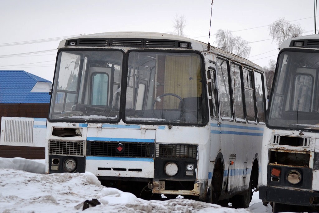 Марий Эл, ПАЗ-3205-110 № Р 254 АР 12