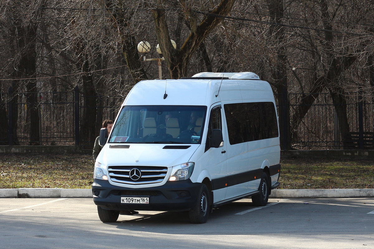 Ростовская область, Луидор-223640 (MB Sprinter) № К 109 ТМ 161