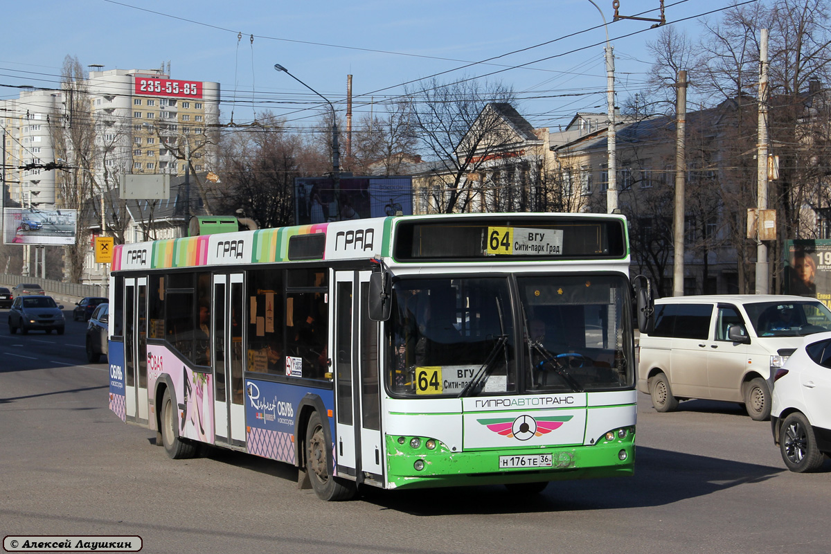 Воронежская область, МАЗ-103.476 № Н 176 ТЕ 36