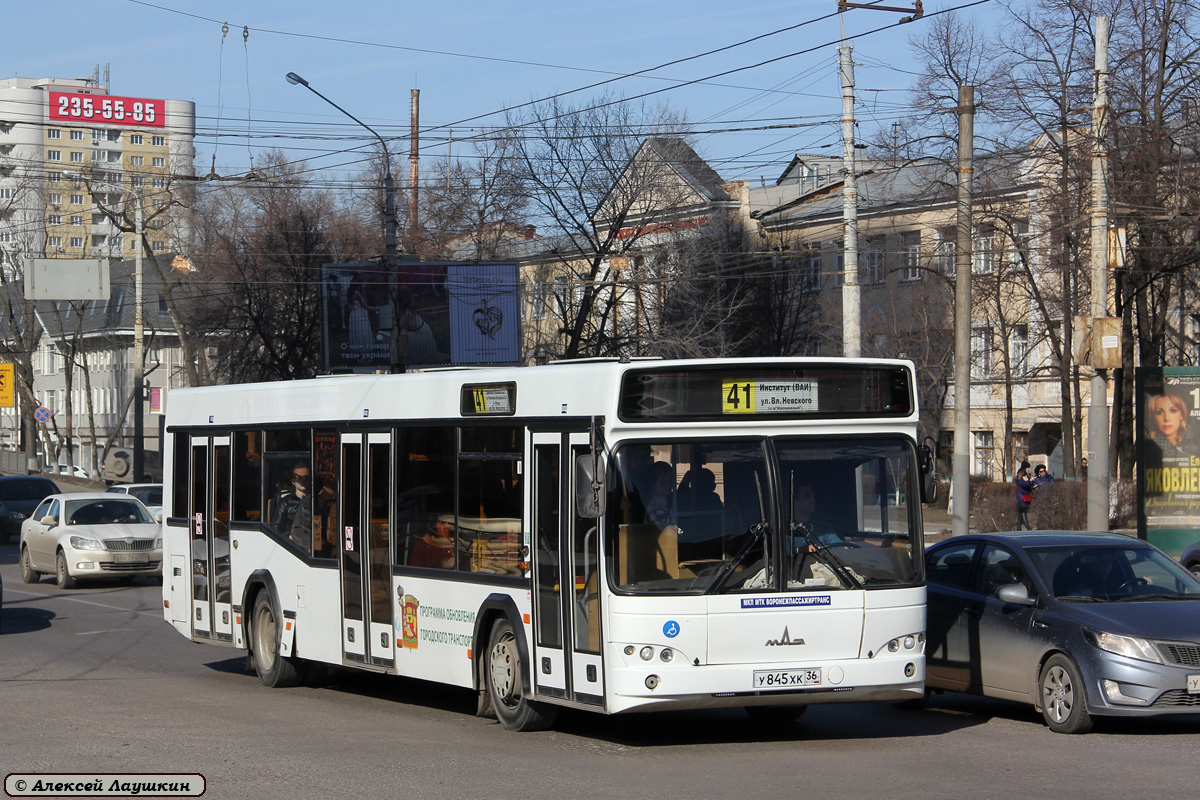 Воронежская область, МАЗ-103.469 № У 845 ХК 36