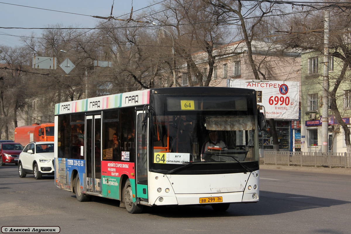 Воронежская область, МАЗ-206.060 № ВВ 299 36