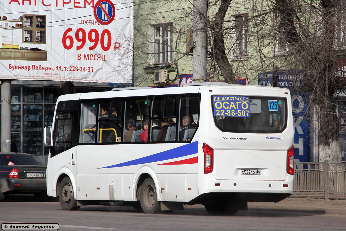 Воронежская область, ПАЗ-320405-04 "Vector Next" № С 522 АО 136