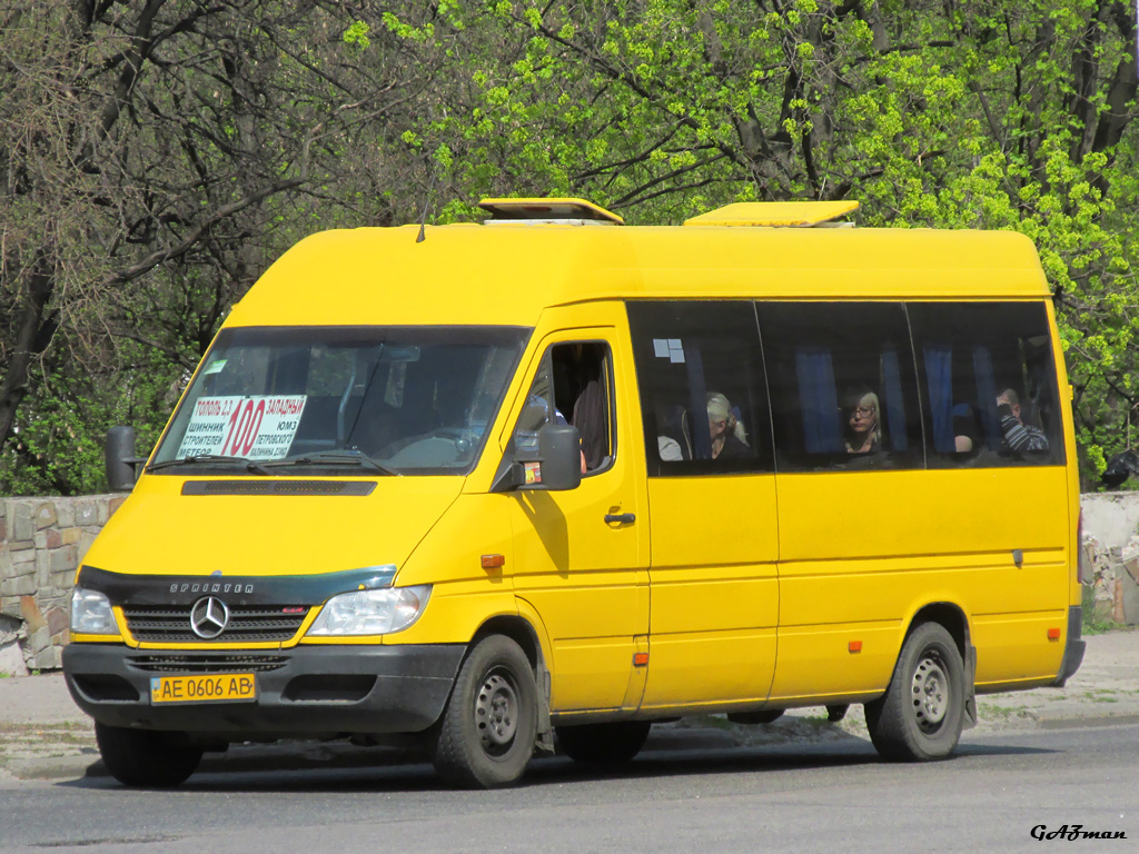 Днепропетровская область, Mercedes-Benz Sprinter W903 313CDI № AE 0606 AB