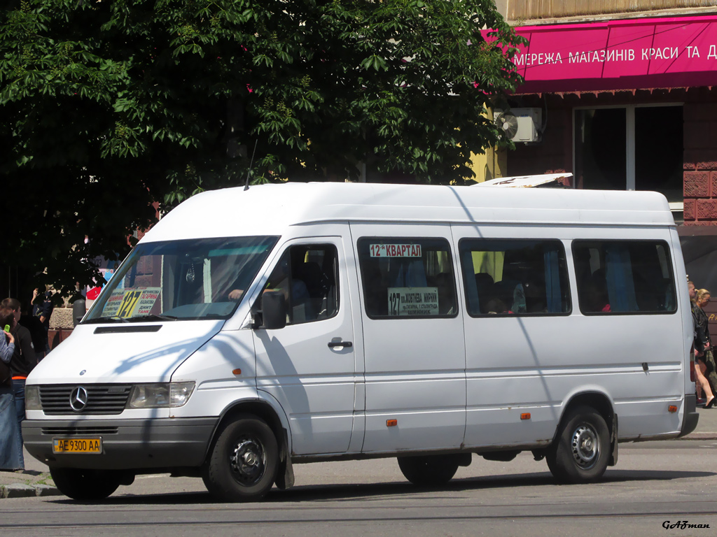 Днепропетровская область, Mercedes-Benz Sprinter W903 312D № AE 9300 AA