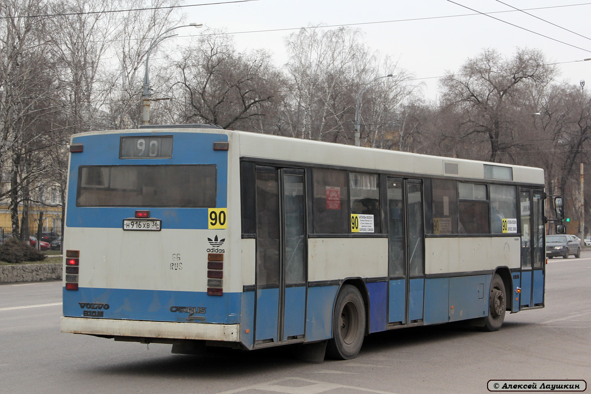 Воронежская область, Carrus K204 City № Н 916 ХВ 36