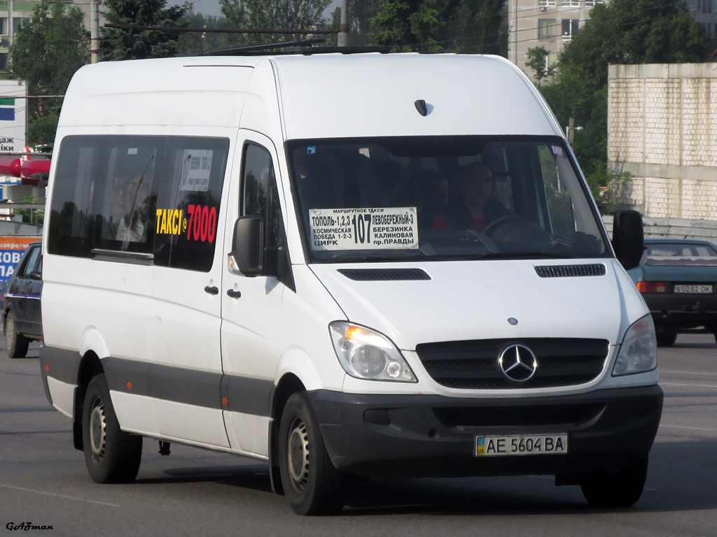 Днепропетровская область, Mercedes-Benz Sprinter W906 313CDI № AE 5604 BA