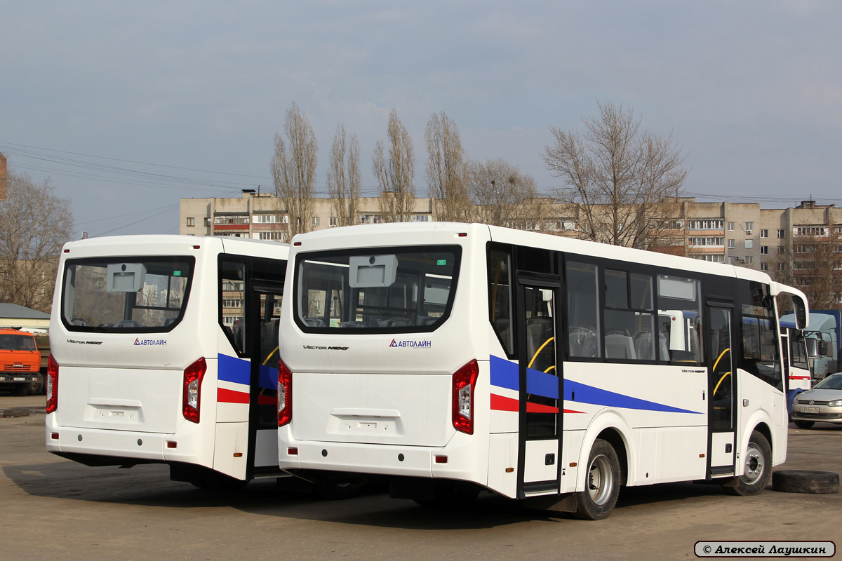 Воронежская область, ПАЗ-320405-04 "Vector Next" № К 255 АС 136; Воронежская область, ПАЗ-320405-04 "Vector Next" № К 245 АС 136; Воронежская область — Новые автобусы