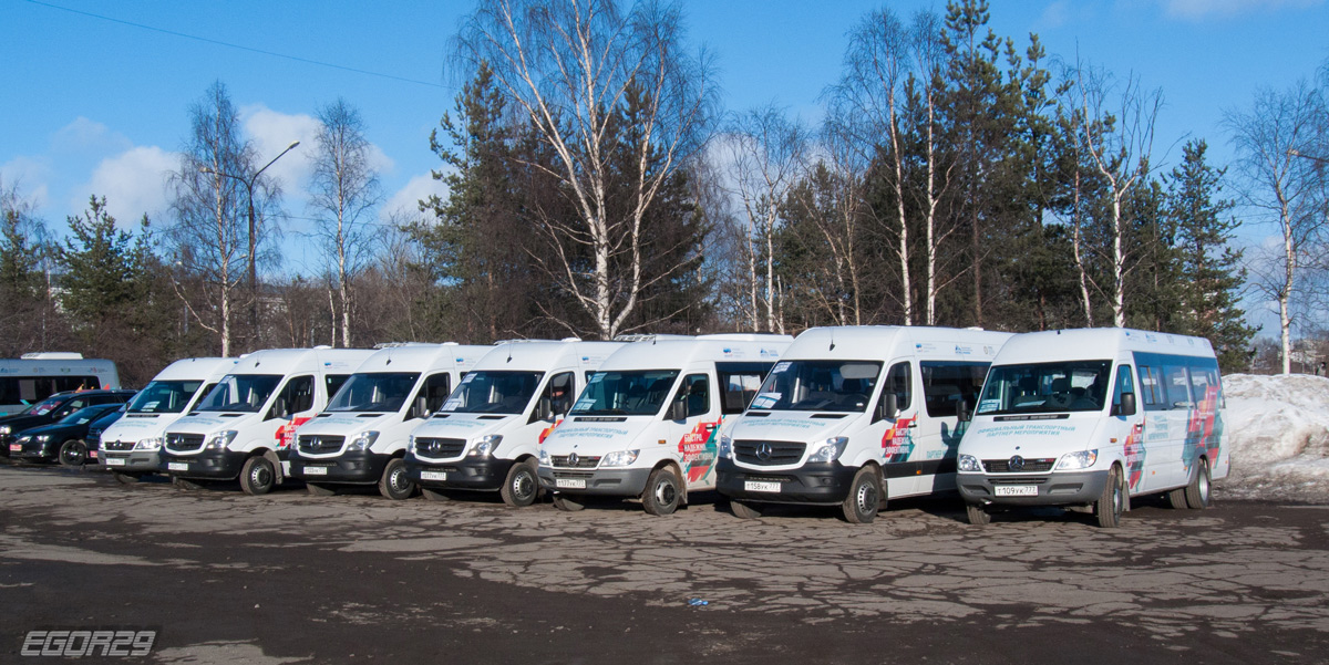 Санкт-Петербург, Луидор-223203 (MB Sprinter Classic) № Т 109 УК 777; Архангельская область — Разные фотографии