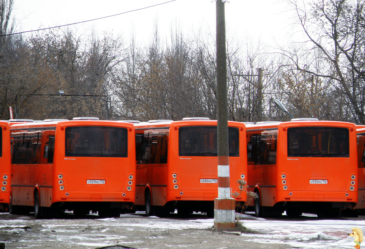 Нижегородская область, ПАЗ-320414-05 "Вектор" № О 929 МО 152; Нижегородская область, ПАЗ-320414-05 "Вектор" (1-2) № О 686 МО 152; Нижегородская область, ПАЗ-320414-05 "Вектор" № О 930 МО 152; Нижегородская область — Автопарки; Нижегородская область — Новые автобусы