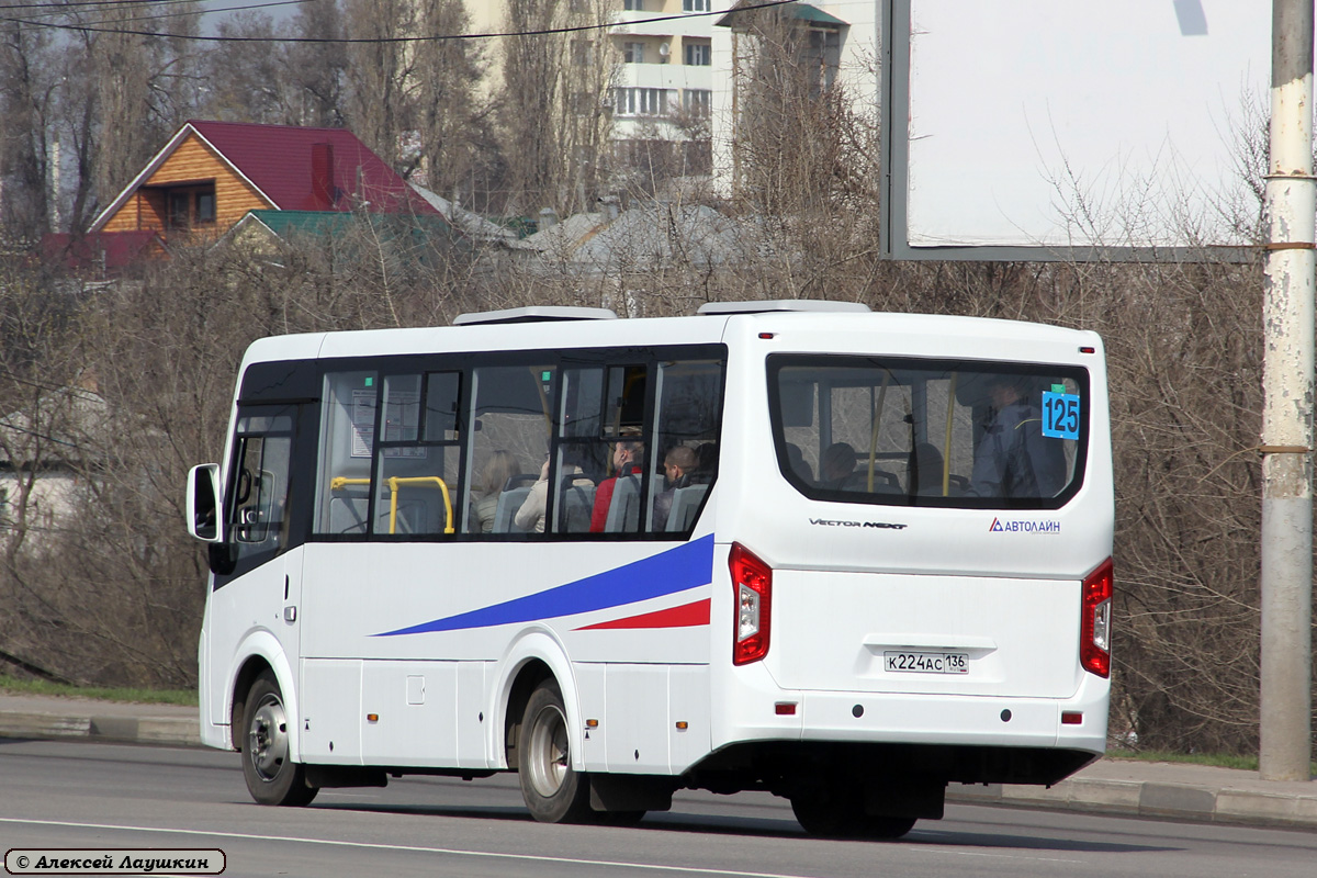 Obwód woroneski, PAZ-320405-04 "Vector Next" Nr К 224 АС 136