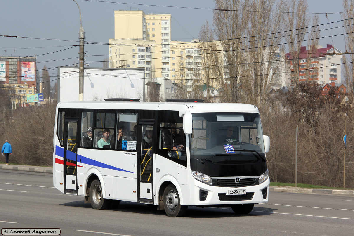 Воронежская область, ПАЗ-320405-04 "Vector Next" № К 245 АС 136