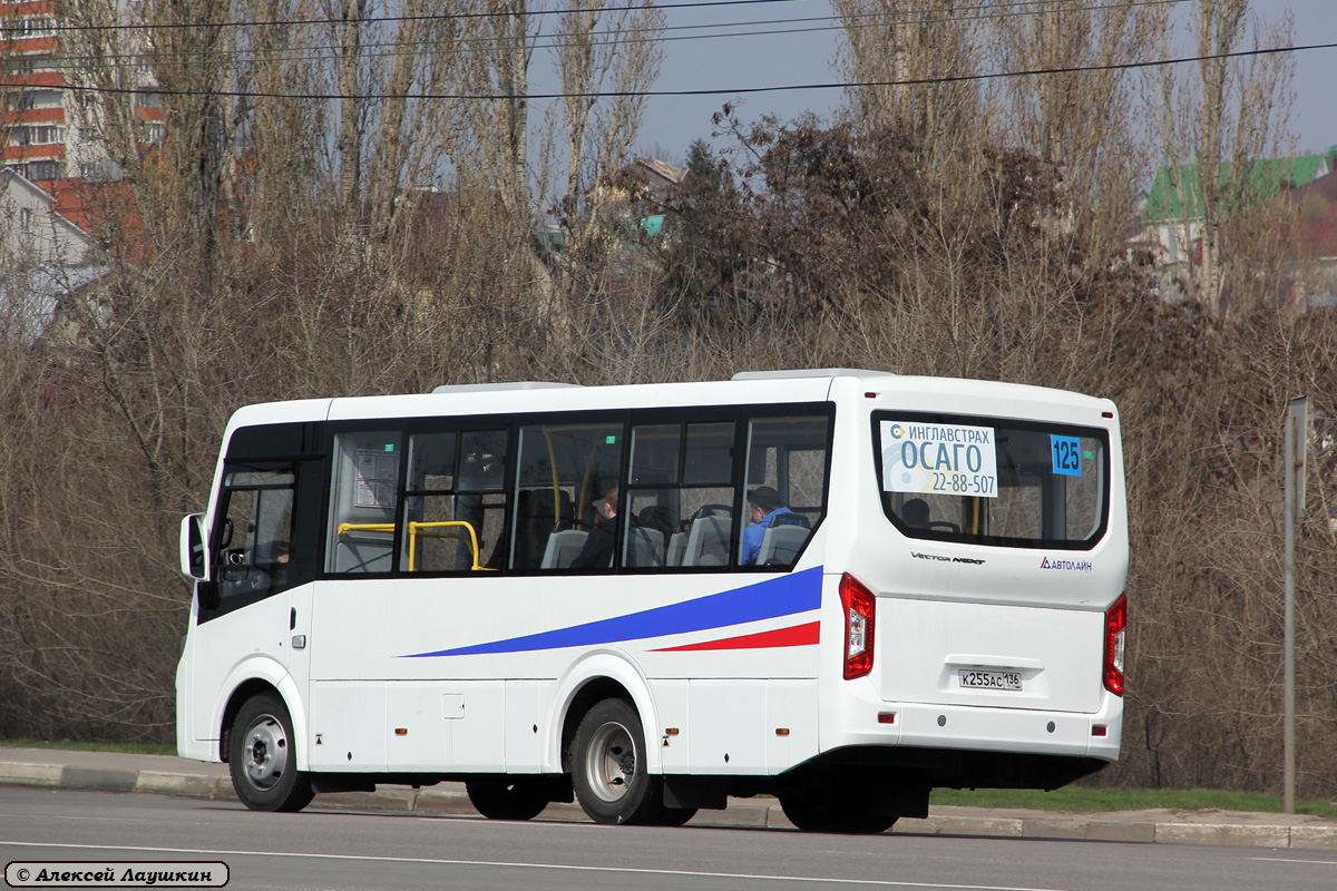 Воронежская область, ПАЗ-320405-04 "Vector Next" № К 255 АС 136