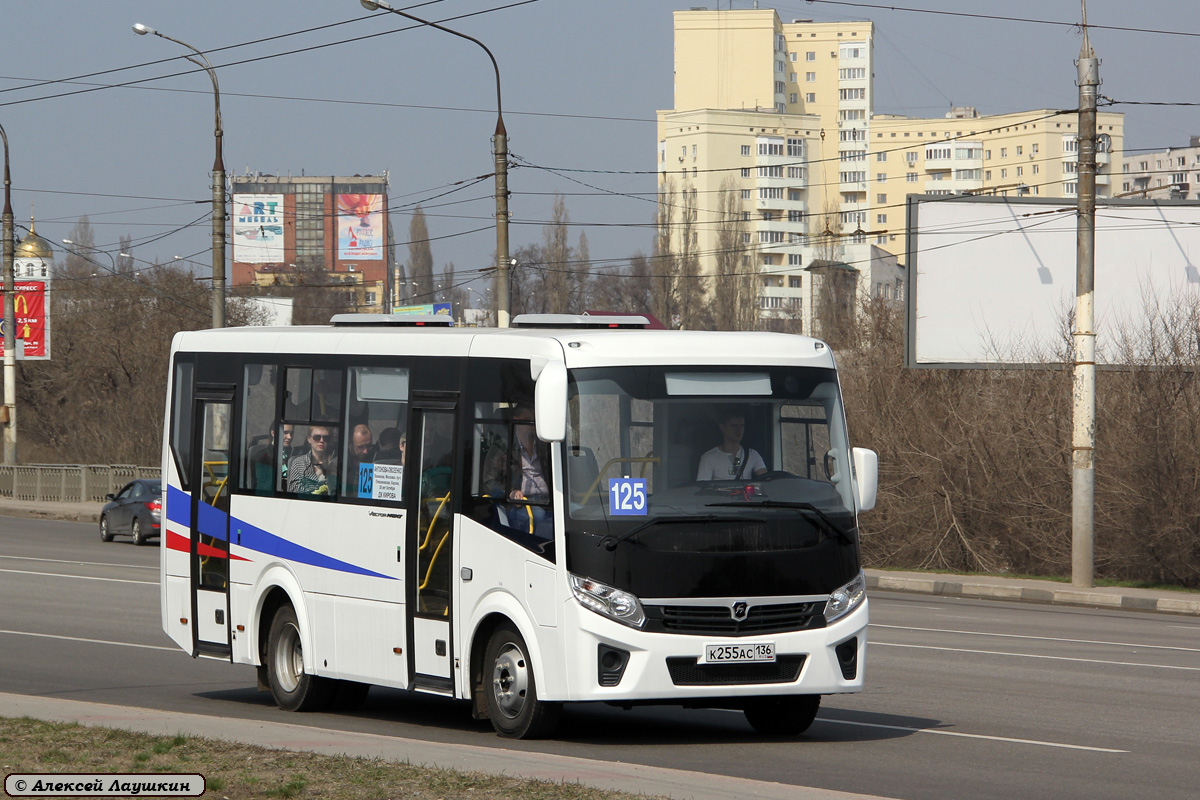 Воронежская область, ПАЗ-320405-04 "Vector Next" № К 255 АС 136