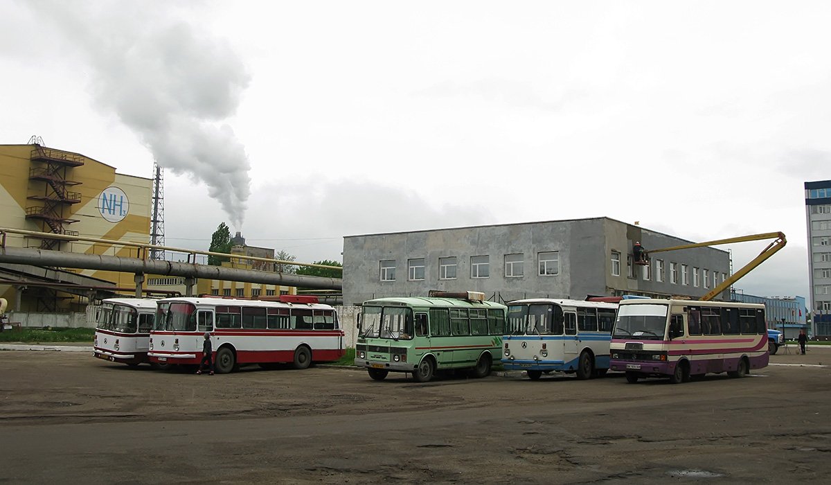 Ровненская область, ЛАЗ-695Н № 007-36 РО; Ровненская область, ЛАЗ-695НГ № BK 0983 AB; Львовская область, ПАЗ-32054 № BC 2284 AA; Ровненская область, ЛАЗ-695НГ № BK 8916 AE; Ровненская область, БАЗ-А079.23 "Мальва" № BK 5034 AH; Ровненская область — Разные фотографии