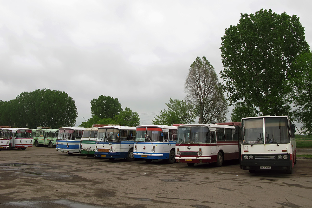 Ровненская область, Ikarus 250 № 8878 РВН; Ровненская область, ЛАЗ-695Н № BK 0116 AA; Ровненская область, ЛАЗ-695Н № 000-87 РО; Ровненская область, ЛАЗ-699Р № BK 0430 AA; Ровненская область, ЛАЗ-695НГ № 072-70 РО; Ровненская область, ЛАЗ-699Р № BK 9757 AX; Ровненская область — Разные фотографии