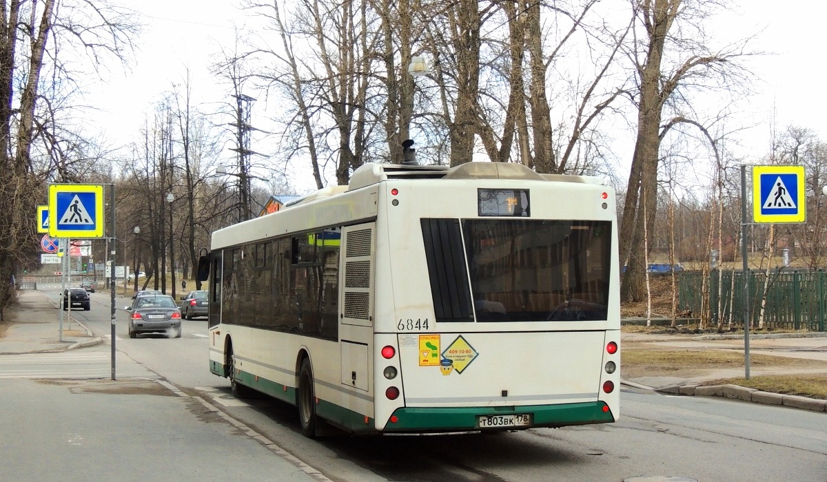 Санкт-Петербург, МАЗ-203.085 № 6844