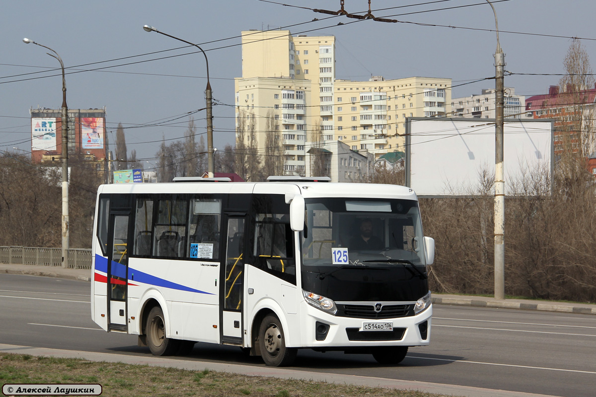 Воронежская область, ПАЗ-320405-04 "Vector Next" № С 514 АО 136