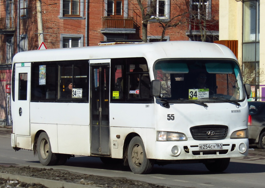 Ростовская область, Hyundai County LWB C09 (ТагАЗ) № 55